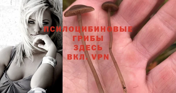 марихуана Алексин